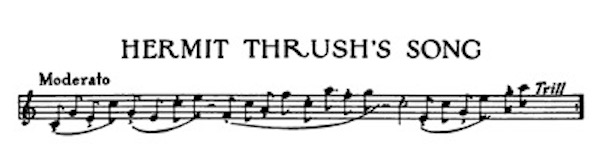 Notations of hermit thrush song in Alida Chanler’s Environment and the Songs of Birds in The New Country Life (Chanler 1917, 73).