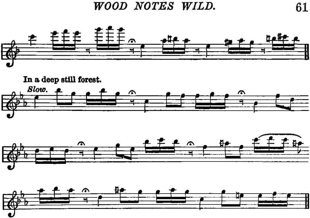 Notations of hermit thrush song in Simon Pease Cheney’s Wood Notes Wild 